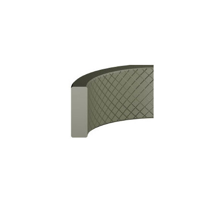Junta GS-10 PTFE  x